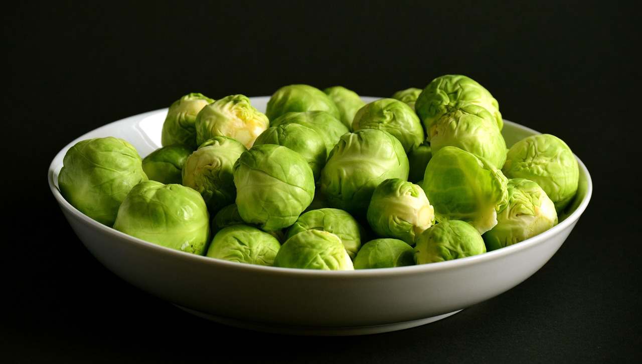 Pod Descartável V50 5000 Puffs | Ignite - Blue Raspberry - 50mg/mL
