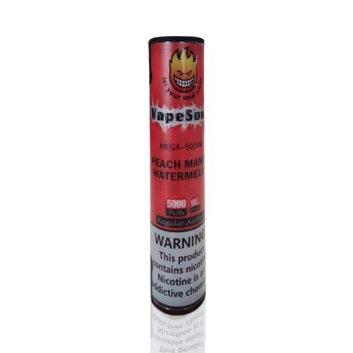 Pod Descartável VapeSoul Mega - Peach Watermelon - 5000 Puffs - 50mg/mL